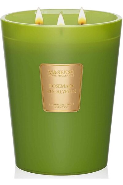 M&SENSE Eucalyptus Sage Scented Candle, 14.1oz 60H Burn Time Slow Burning, Na...