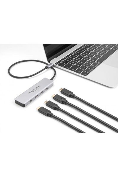 DELOCK Διανομέας USB 3.0 4 θυρών με σύνδεση USB-C Γκρι Κωδικός: 64231