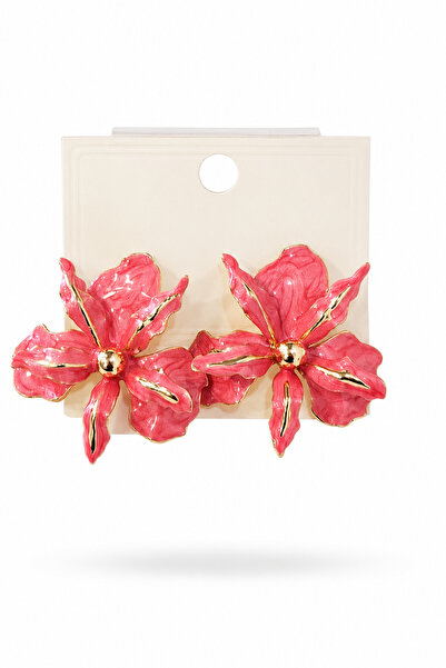 cityvision Pink Color Stone Vip Model Steel Earrings