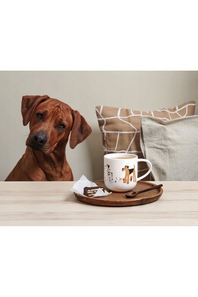 ASA Cana 400ml pentru cafea si ceai, din porțelan, capacitate universală