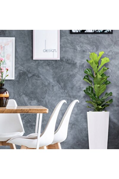 NO BRAND GHIVECI 45x24 CM, PĂTRAT, ÎNALT, CU INSERȚIE PENTRU FLORI, ALB LUCIOASĂ