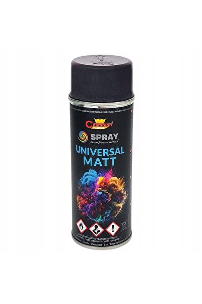 Champion Vopsea lac emală spray RAL 7016 Antracit