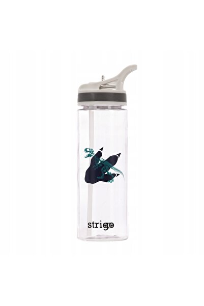 Strigo Bidon Dinozaur 600ml transparent x3