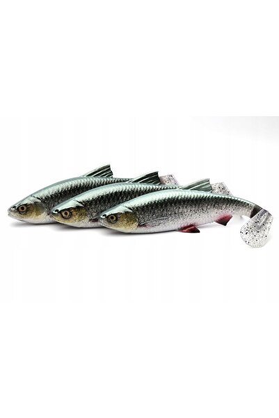 NO BRAND Nalucă de pescuit GUMA 3D LB River Roach 22cm 125g 1 buc.