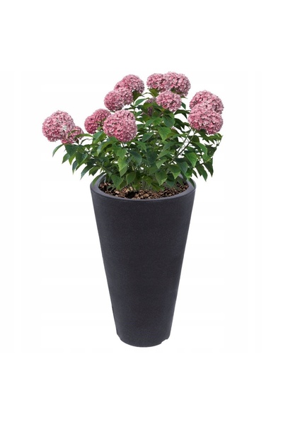 Koopman Jardinieră mare de grădină, ghiveci de exterior din plastic, rotundă,...