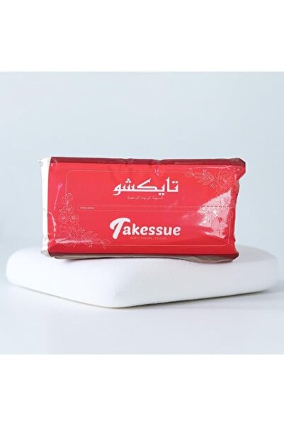 Generic Brand TAKESSIVE 600 SHEET 2 PLY Tissue Paper, Popular 2‑ply Tissue pa...