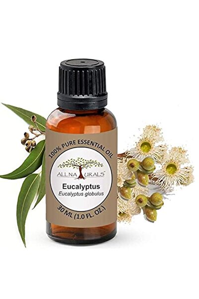 Generic Brand All Naturals Eucalyptus Essential Oil 15ML (Ooty) 100% Pure For...