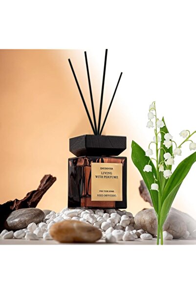 Generic Brand Reed Diffuser Set, 200ml Aromatherapy Diffusers Set, Large Capa...