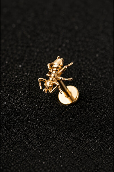 Karınca gold 316 L Cerrahi Çelik Labret Piercing