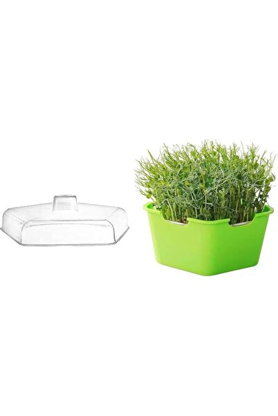 Generic Seed Sprouter Tray with Cover, Plastic Seed Germination Tray, Plastic...