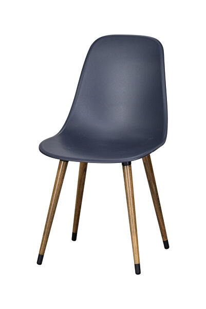 VİLİNZE Eames Kestane Ahşap Ayak Plastik Füme Sandalye