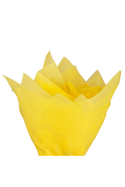 Papette Set of 50 pieces Silk paper 17g YELLOW - 50 x 75cm