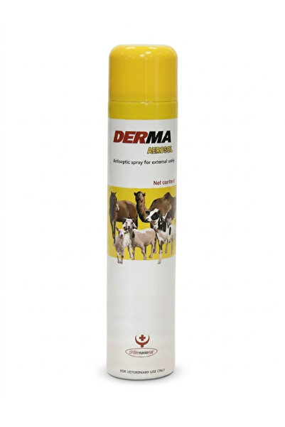 aerosol رذاذ ديرما المضاد للجراثيم 200 مل - للعناية بجروح الحيوانات وحمايتها ...