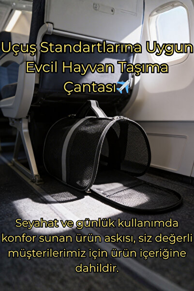 VİGİ STORE VG Flybag Yırtılmaz Fileli Kedi ve Köpek Taşıma Çantası | Kabin Bo...