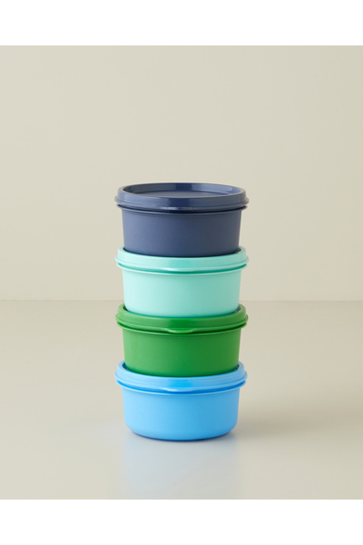 English Home Aline Plastik 4'lü Saklama Kabı 280 ml Yeşil-Mavi
