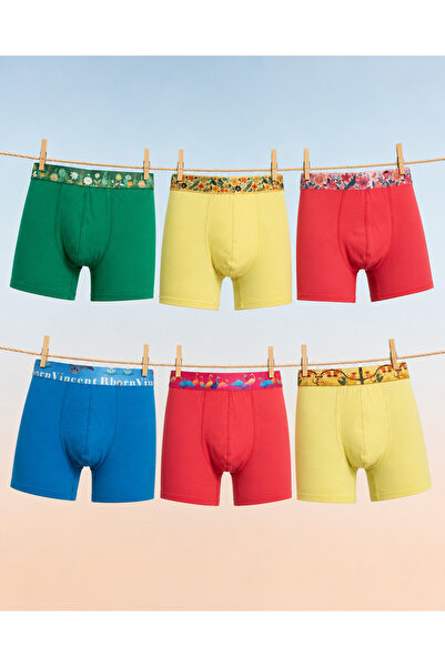 Vincent Rborn Erkek Boxer 6 Adet - Garden&Extinction Run-On Series