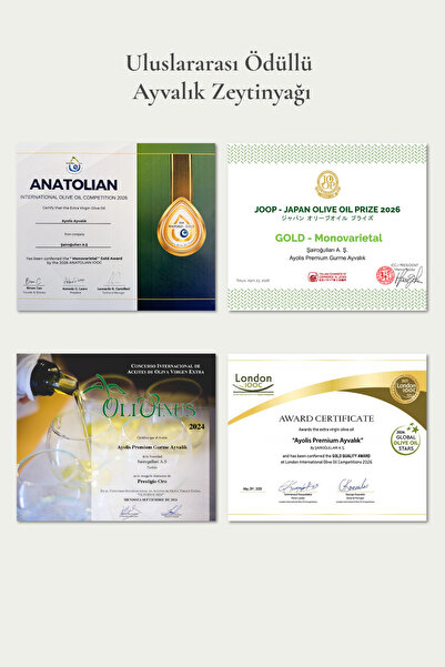Ayolis Premium Gurme Ayvalık 500 ml Ödüllü Erken Hasat Soğuk Sıkım Natürel Sızma Zeytinyağı