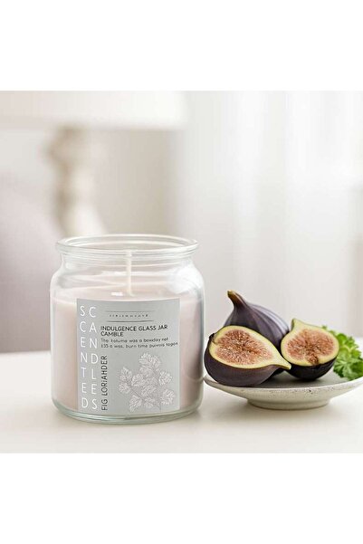 PAN HOME Indulgence Fig Coriander Jar Candle 280gm - 20 Hrs