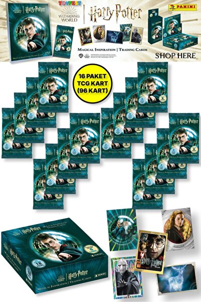 TOYFEST Panini Harry Potter Collectable Trading Card - 16 Pack (96 Cards)