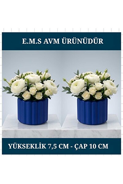 E.M.S AVM 2 RENK MAVİ RENK ÇUBUK DESEN SAKSI SUKULENT SAKSISI MENEKŞE SAKSISI...