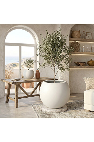CANBOTANİK İÇ DRENAJ HAZNELİ 30 cm Yuvarlak Saksı Salon Saksı Küre Saksı 30 C...