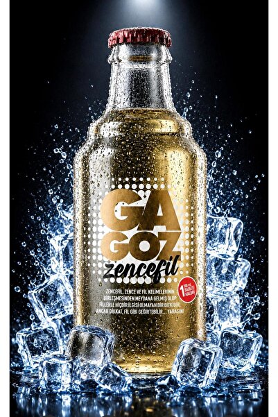 GA GOZ Gazoz Zencefil Aromalı Gazlı İçecek - Ginger Ale 250 ml x 12'li Paket