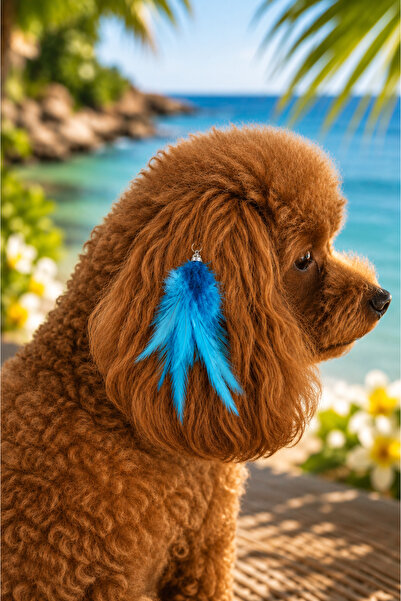 LOOL PREMİUM Köpek tüy toka poodle yorkshire pomerian toka