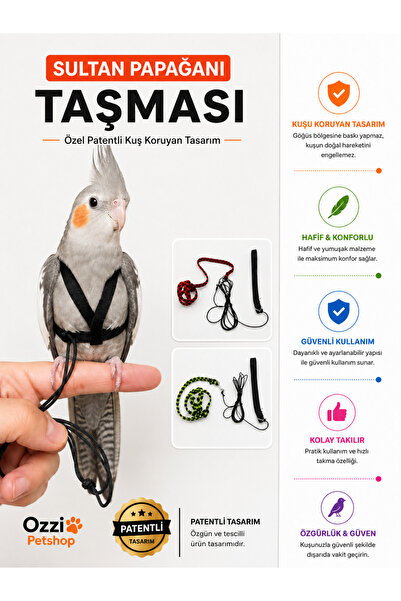 ozzipetshop Sultan Papağanı Tasması Özel Patentli Kuşu Koruyan Tasarım