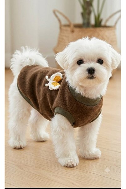 atelyu Cat Dog Outfit Khaki Fleece Butterfly Applique Tshirt Sleeveless Sweat...