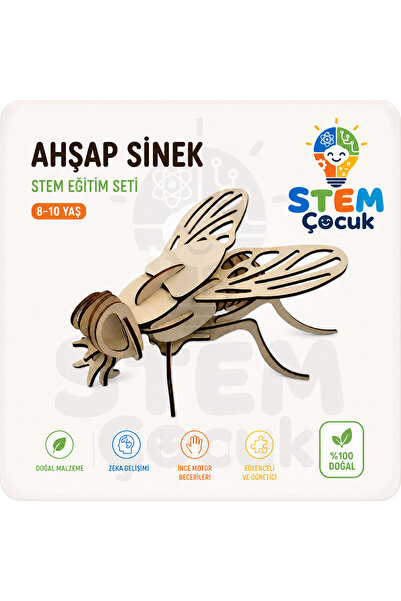 STEM - 3d Ahşap Sinek (8-10 Yaş)