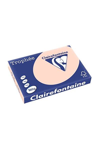 Clairefontaine Carton A3 160 g/m² culoare palida 250 buc/cutie somon