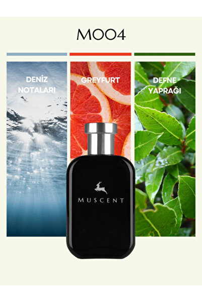 MUSCENT M004 Invctus 50 ml.
