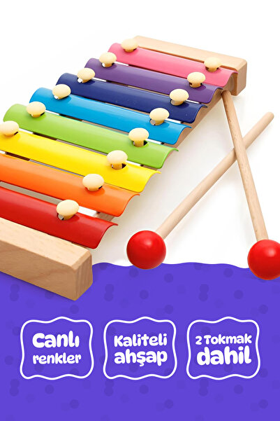 Circle Toys Eğitici Ahşap Ksilofon – 8 Tonlu Renkli Müzik Oyuncağı
