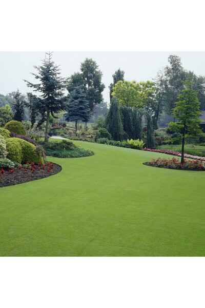 tnc garden groups Çim Gübresi 15-5-15 Sportsmaster 1000 Gr