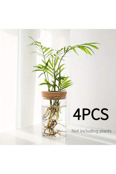 Choice5 6.5X12CM 4pcs 1pc, Hydroponics Plants Desktop Glass Planter Vase For ...