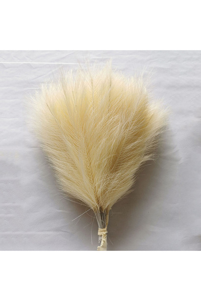 Choice16 10pcs Beige 10-100Pcs Artificial Pampas Grass Fluffy Reed Bouquet Bo...
