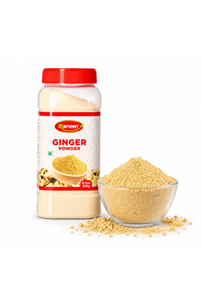 Alameen Al Ameen Ginger Powder Bottle 250g