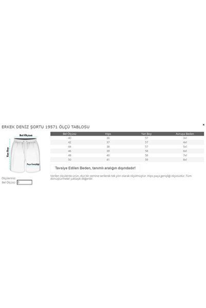 ModeXL Büyük Beden Erkek Deniz Şortu White Line Fileli Hızlı Kuruyan 21451 Siyah