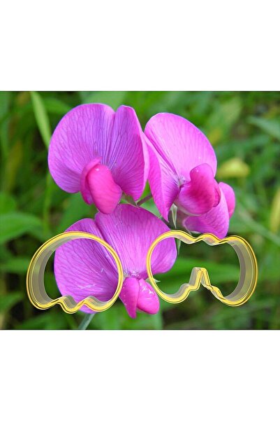 Generic Brand Sweet Pea Flower Making Set 2 Pieces