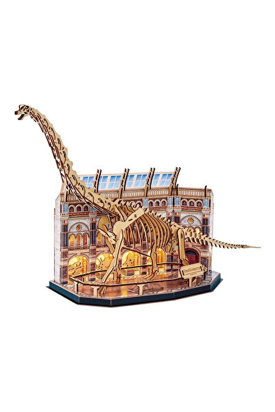 TOYFEST متاحف الطبيعة - لغز ثلاثي الأبعاد لبلاكسيوصور مع إضاءة LED