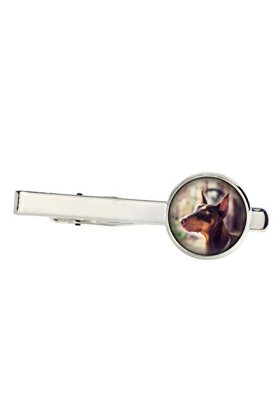 Art - Dog Dobermann, Doberman Pinscher, Dobie - agrafă de cravată, ornament, ...