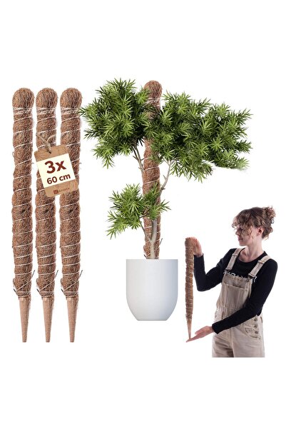 KADAX 3x Suport pentru plante, țăruș de cocos de 60cm, 45mm, pentru Monstera