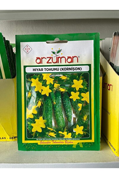 HIYAR TOHUMU (KORNİŞON)