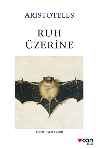 CAN Ruh Üzerine