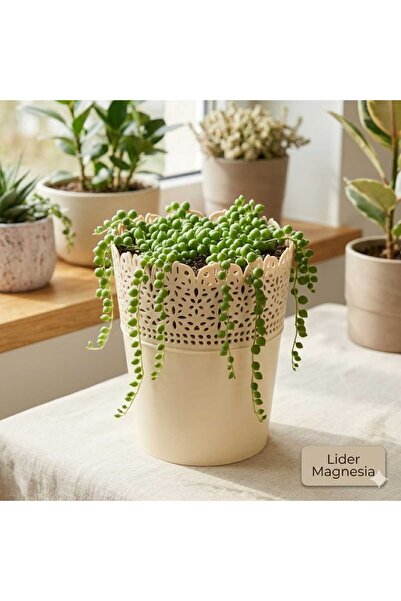Lider MAGNESİA DANTEL SAKSI 14X10 CM KREM BAHÇE BALKON SAKSISI ÇOK AMAÇLI SAKSI