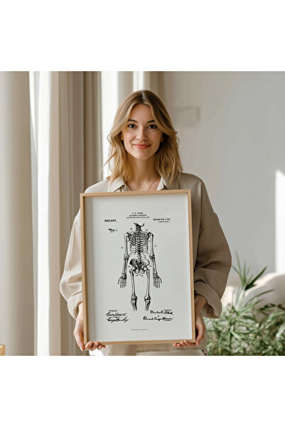 Pegziz Anatomski skeletni sistem, patentni crtež, slika, zidni dekor, slika