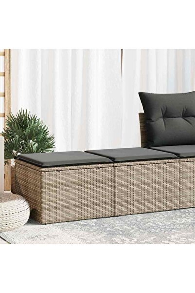 vidaxl Set mobilier gradina cu perne 2 piese gri poliratan/lemn acacia