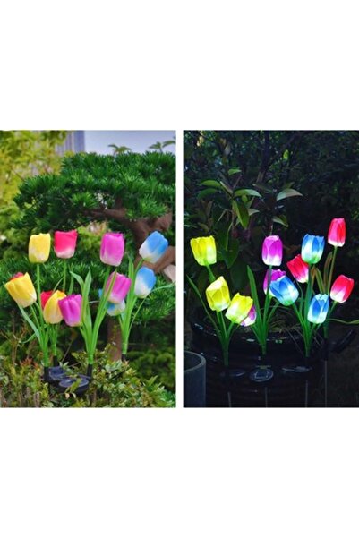 Casa Shop Set de 2 Lămpi Solare Decorative în formă de Lalea, 70 cm, LED cu S...