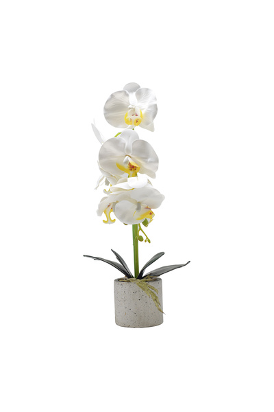 Naimeed Company Orhidee decorativă în ghiveci ceramic, 36 cm, Naimeed D4850, Alb
