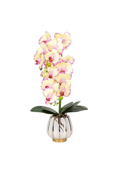 Naimeed Company -looking orchid in a ceramic pot, 79 cm, Naimeed D6901, Pale ...